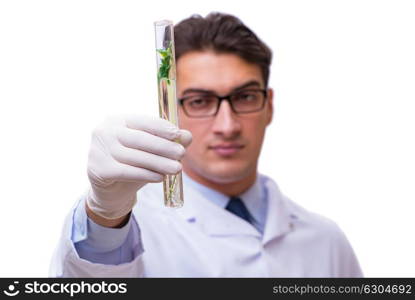 Scientist with green seedling in glass isolated on white