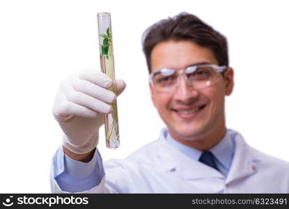 Scientist with green seedling in glass isolated on white