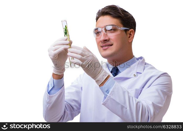 Scientist with green seedling in glass isolated on white
