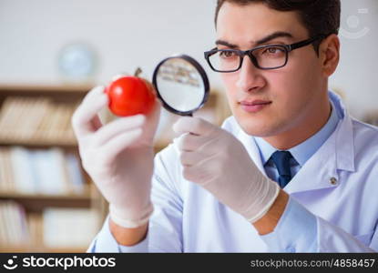 Scientist working on organic fruits and vegetables