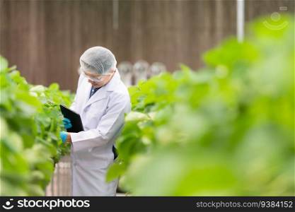 Scientists are examining the growth of strawberries grown with scientific technology in a closed strawberry garden
