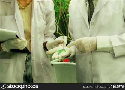 Scientists researching cannabis hemp and marijuana plants in gratifying indoor curative cannabis plants farm. Cannabis plants for medicinal cannabis products for healthcare and medical purposes.. Scientists working at cannabis plant farm and gratifying marijuana plantation.