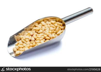 Scoop full of Roasted organic pine nuts isolated on white background. Clipping path. Scoop full of Roasted pine nuts isolated on white background. Clipping path