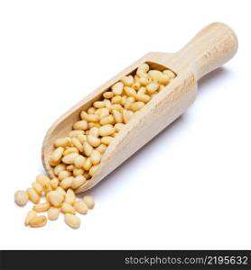 Scoop full of Roasted organic pine nuts isolated on white background. Clipping path. Scoop full of Roasted pine nuts isolated on white background. Clipping path