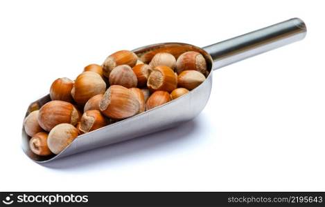 Scoop full of whole hazelnuts isolated on white background. Clipping path. Scoop full of hazelnuts isolated on white background. Clipping path