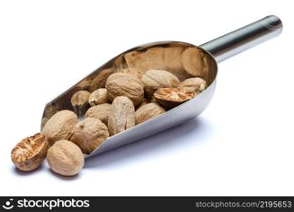 Scoop full of whole nutmegs isolated on white background. Clipping path. Scoop full of nutmegs isolated on white background. Clipping path