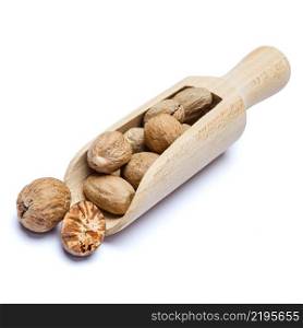 Scoop full of whole nutmegs isolated on white background. Clipping path. Scoop full of nutmegs isolated on white background. Clipping path