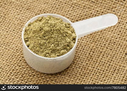 Scoop of raw organic hemp protein powder - super food rich in nutrients (proteins, antioxidants, amino and fatty acids)