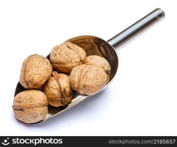 Scoop of Roasted organic walnuts isolated on white background. Clipping path. Scoop of Roasted walnuts isolated on white background. Clipping path