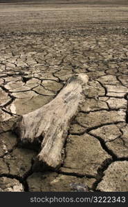 Scorched Wood On Dry Cracked Soil