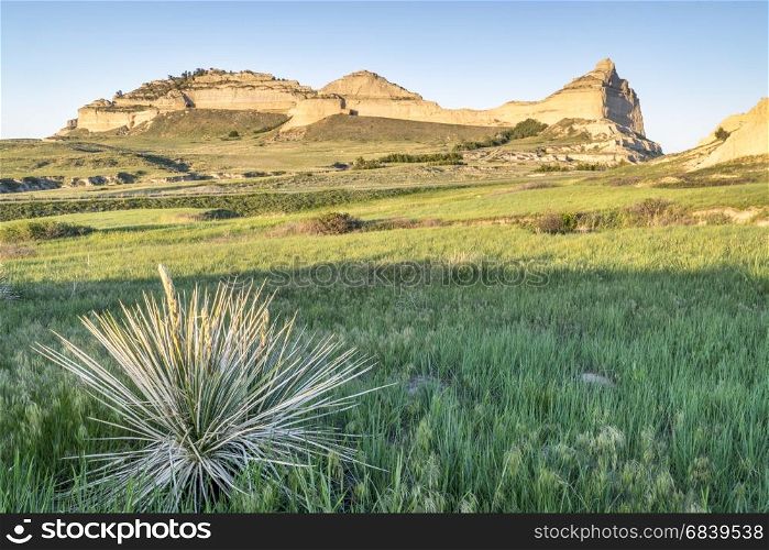 Scotts Bluff National Monument in Nebraska, spring scenery with sunset light and yucca plant