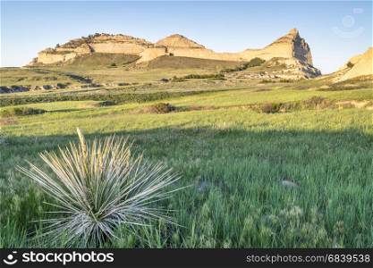 Scotts Bluff National Monument in Nebraska, spring scenery with sunset light and yucca plant