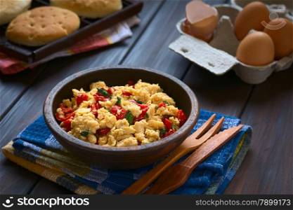 Scrambled eggs made with red bell pepper and green onion in rustic bowl with toasted bread and eggs in the back, photographed with natural light (Selective Focus, Focus one third into the scrambled eggs)