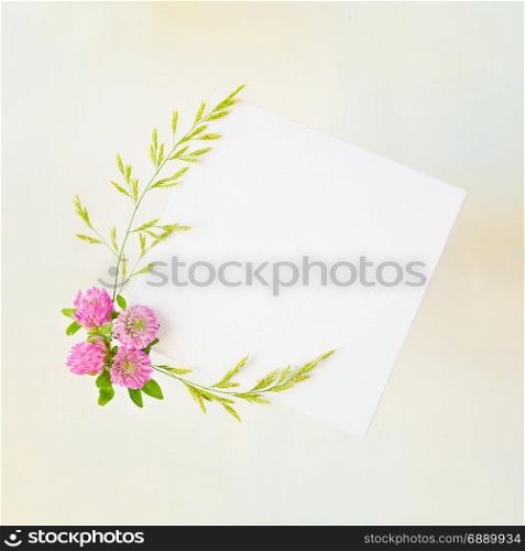 Scrapbook page of wedding or family photo album, frame with pink clover and green bluegrass on old yellowed paper background; top view, flat lay, overhead view