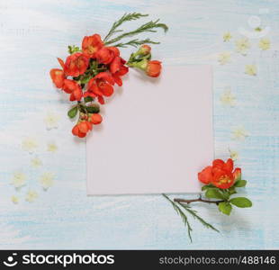 Scrapbook page of wedding or family photo album, frame with red Chaenomeles japonica flowers and green leaves on light wooden background; top view, flat lay, overhead view