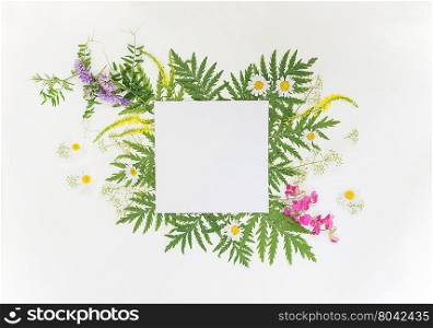 Scrapbooking page of wedding or family photo album, frame with fresh branches, green leaves, herbs, chamomile, vetch and other multicolored wildflowers on white background; top view, flat lay, overhead view