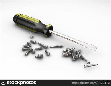 Screwdriver and screws