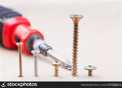 screwdriver and several screws wrapped in wooden board close up