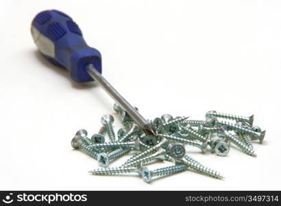 Screwdriver and small metal screws on a white background