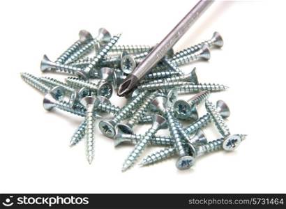 Screwdriver and small metal screws on a white background&#xA;