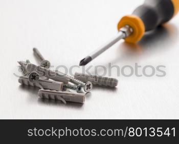 Screwdriver cross bit with screws and plastic dowels.