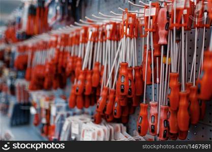 Screwdrivers on racks in tool store closeup, nobody. Choice of equipment in hardware shop, professional instrument in supermarket. Screwdrivers on racks closeup, tool store, nobody