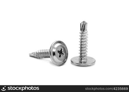 screws isolated on a white background