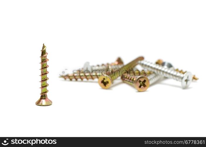 screws isolated on a white background