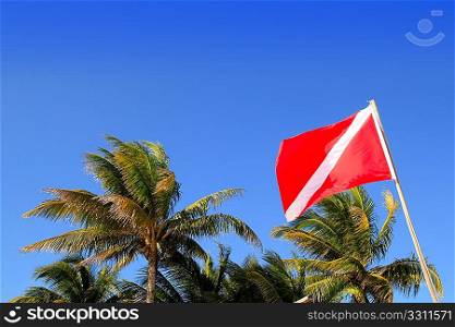 Scuba diver down flag in tropical palm trees blue sky background