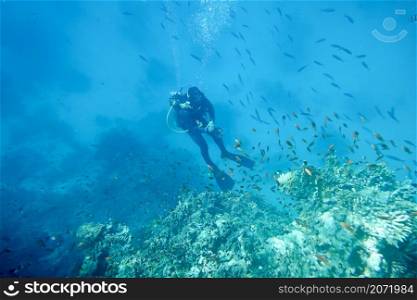 Scuba diver near sea bottom