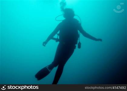 Scuba diver swimming underwater, San Cristobal Island, Galapagos Islands, Ecuador