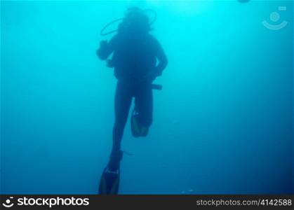 Scuba diver underwater, San Cristobal Island, Galapagos Islands, Ecuador