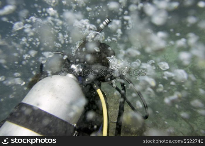 Scuba diver underwater, Utila, Bay Islands, Honduras