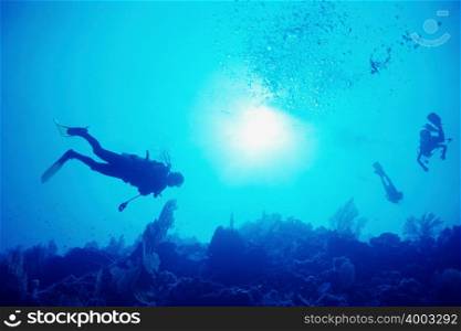 Scuba divers in sea