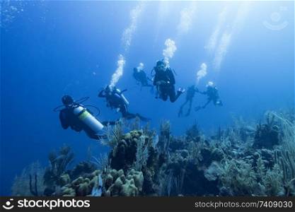 Scuba divers underwater near coral reef, Dive Site, East Wall, Belize