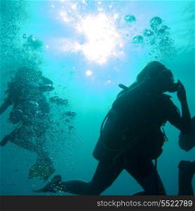 Scuba divers underwater, Utila, Bay Islands, Honduras
