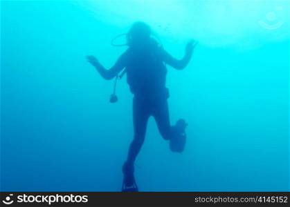 Scuba diving underwater, San Cristobal Island, Galapagos Islands, Ecuador