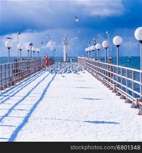 sea and blue sky. Sea birds sitting on pier. winter beach. Winter scene