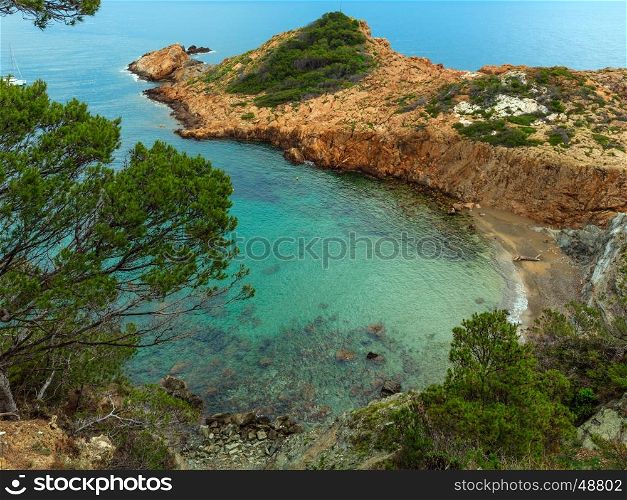 Sea bay summer view with conifer trees in front. Costa Brava, Catalonia, Spain.