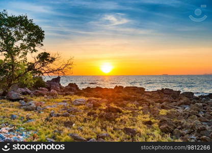 Sea beach sunset landscape with sunset sun on blue sea and green tree