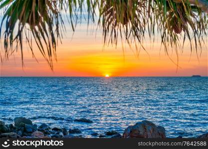 Sea beach sunset landscape with sunset sun on blue sea and palm tree