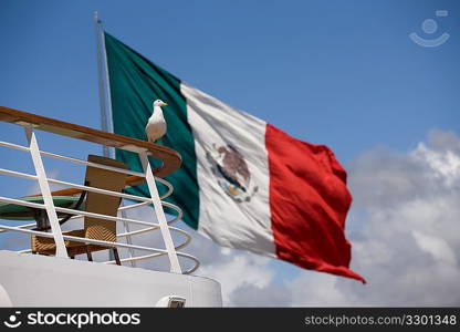 Sea Bird in front of Mexican Flag