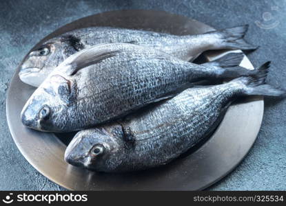 Sea bream (dorada) fish