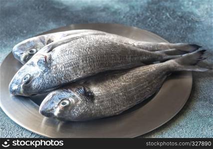 Sea bream (dorada) fish