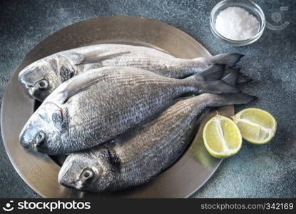 Sea bream (dorada) fish