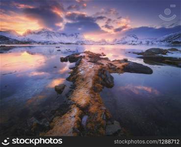 Sea coast, beautiful snowy mountains and amazing purple sky with clouds at colorful sunset in winter evening. Lofoten islands, Norway. Landscape with stones, rocks in snow, reflection in water. Nature
