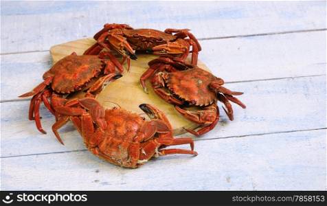 Sea crabs for cooking on wooden table in the kitchen&#xA;