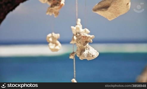 Sea decorations