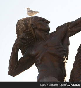 Sea Gull on a Statue in Chicago