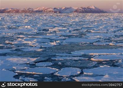 Sea ice off the coast of eastern Greenland.
